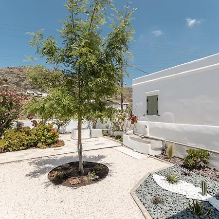 Grevillea * Mikri Vigla