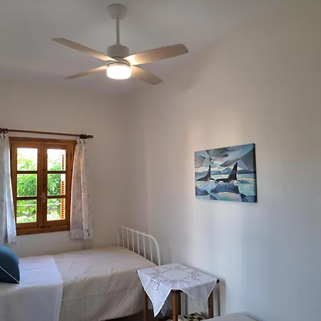 Grevillea Willa Mikri Vigla