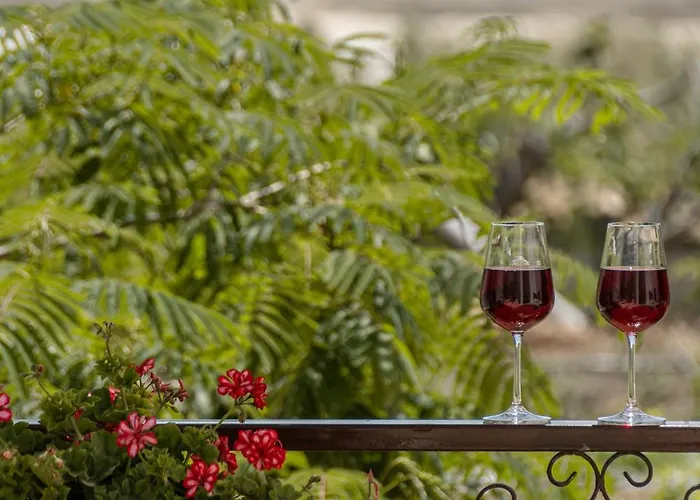 Grevillea Villa Mikri Vigla