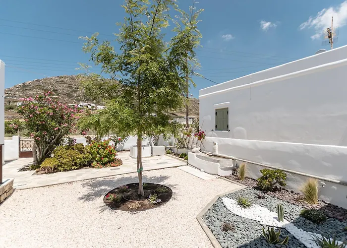 Grevillea * Mikri Vigla