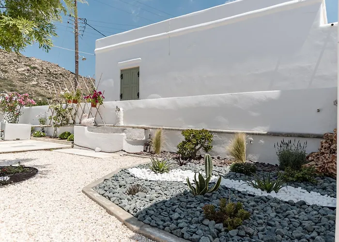 Grevillea * Mikri Vigla